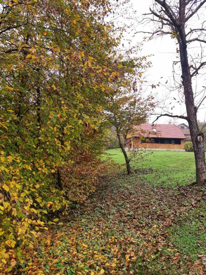 Bakina Iza Villa Duga Resa Eksteriør billede